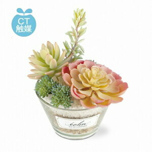 LA[eBtBVO[ CTG} C~e[V TLg tFCNO[  CeAO[ lHϗtA tFCNO[ C~e[V  t[yCeA