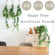 シュガーバイン フック付きタイプ 消臭アーティフィシャルグリーン イミテーション フェイクグリーン 観…