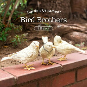 K[fI[ig o[h/3HZbg  Ƃ Rg  Ƃ g o[h bird K[f}XRbg K[fjO u IuWF I[ig   CeA G KH-61168 