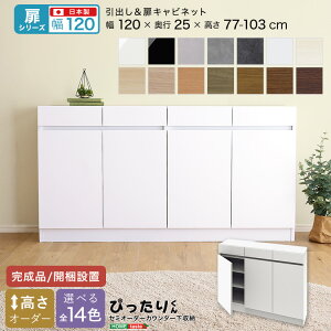 yV[YzZ~I[_[JE^[[҂肭 Lrlbg 120cm×s25cm yOGz