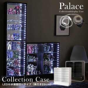 RNVP[X y{́{LEDCgt^[^CvEs29cm 90cmzpalace pX RNVbN RNV{[h tBMA P[X I fBXvCbN KXI ǖʎ