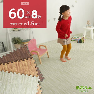 ySS聚SiP10{ȏzTChp[ctIi`ȖؖڒWCg}bg 8Zbg(唻60cmjS̒zAfqhAhAۉyFein-t@C-z