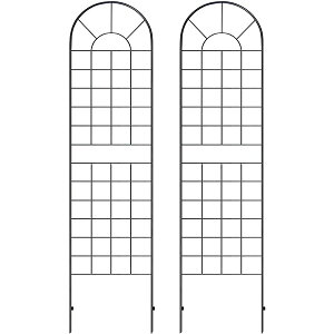y11/1108%ItN[|zNVbNtFX nC^Cv220i2gjy tFX Q[g  ACA K[ftFX K[fjO g  d؂ ډB  NVJ AeB