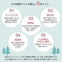 サイドパーツ付き!ナチュラルな木目調ジョイントマット16枚セット(大判60cm)安心の低ホルムアルデヒド、防音、保温【Fein-ファイン-】【OG】