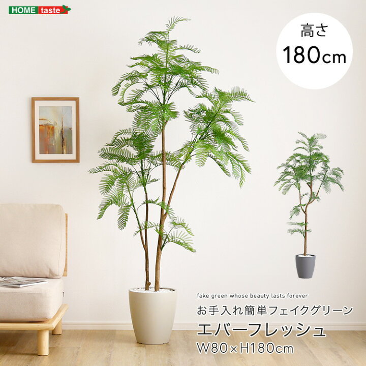 楽天市場】お手入れ簡単フェイクグリーン エバーフレッシュ Lサイズ 