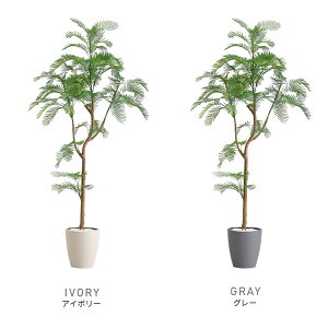 ȒPtFCNO[@Go[tbV@STCY(120cm)