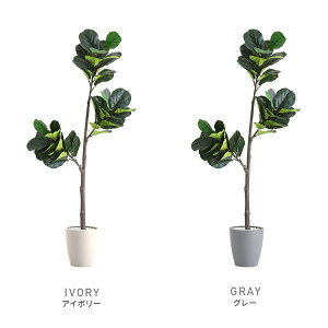 ȒPtFCNO[@tBJXE[^@MTCY(150cm)