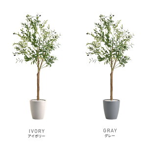 ȒPtFCNO[@I[u@STCY(120cm)