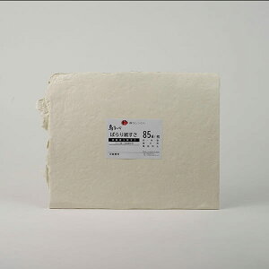 EpǗp ς莆 nǍDŁAs̓ĂȂ100@ۂ̎ y炵 fށȆz 85gyOGz