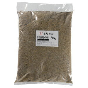 VR WH̍ VR yydg fށȆz 20 yOGz