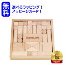 積み木のほん付き　積み木 日本製 ボーネルンド オリジナル積み木 S 出産祝い 誕生日 プレゼント つみき 積木 木のおもちゃ 【1歳誕生日プレゼント】【1歳バースデープレゼント】 2歳 　子供　幼児向け　知育玩具　オリジナル積木　日本製　知育