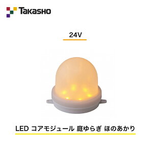 �y�^�J�V���[�z�@�yLED�R�A���W���[���z�@�y24V�z�@�yLED �R�A���W���[�� ���炬 �ق̂�����z�@HBE-Y35N �K�[�f�����C�e�B���O ���O�p���ރ��C�g �y���������z