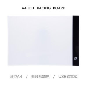 g[X A4TCY Cge[u Cg{bNX iK ^ USBd 2m CXg } ʂG