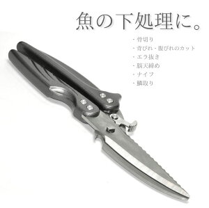 \ nT~   ] G ؂ ؎ iCt 𔲂 Lb`oT~  Lb`c[ 􂦂