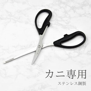 I ͂ Jj p nT~  k JjtH[N Lb`oT~ XeX| Lb`c[ ֗ObY