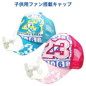 Lbv Xq LbY t@t [d qp j̎q ̎q bV 킢  