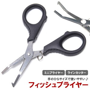 vC[ nT~ VU[vC[ RpNg ނ tBbVO jO A[