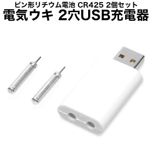 USB 充電器 Type-A 電気ウキ 電池 CR425型 リチウム電池 セット 釣り用品 GD-UKICHARGE02-D