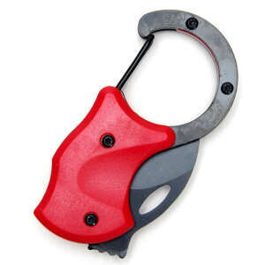 iCt RpNg AEghA Lv ނ ܂ Jri L[z_[