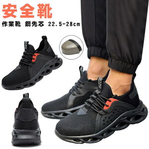 ZteB[V[Y SC ƌC SC c [Nu[c Y ܐK[h Ȃ 񂺂C SXj[J[  y ܐی ʋC h C |c ~ 