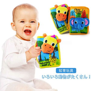 c   zG{ zG{ G{ zG{ LbYG{ NX}X v[g xr[G{ Xт̐ mߋ  ẑ  v o Mtg ʂ xr[ Ԃ