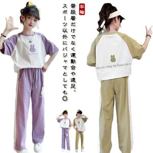  TVc ǂ t ZbgAbv LbY Opc JWA  W[W 150 EGXgS Xgb` WjA ̎q pcZbg [EGA Cws ؍  X|[c