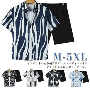 XEFbg W[W 2_Zbg ZbgAbv TVc Y ĕ Zp ZbgAbv pc 5  V[gpc n[tpc Y vI[o[ ㉺Zbg  傫T