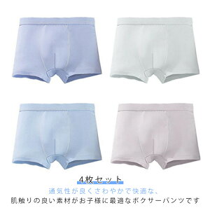 {NT[  LbY  A_[EFA  pc jq Ci[ 4Zbg qp w j w xr[ j̎q ʊw ʉ {[CY  ct q {NT[   JWA 