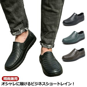 AEghA C V[gu[c JC u[c Y ɂ Cu[c Cu[c h C ₷  CV[Y V[g yA ʋ ₷ JWA 傫