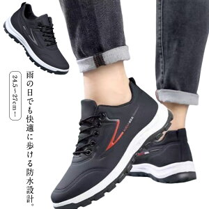  y Y t Y  Jp jp hV[Y h J ʋ ʊw EH[LOV[Y i JWAV[Y ^C WMO  Xj[J[  H ~ 24.5`2