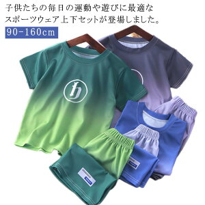 ̑ X|[cEFA X|[cEFA TVc AEghA ZbgAbv WjA j̎q ̎q n[tpc V[gpc  TbJ[ q z ^ ㉺Zbg  t g[