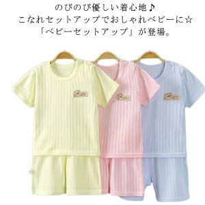 q  xr[ ZbgAbv xr[ Y{ xr[  V[gpc tVc X|[c Vv Ԃ  ̎q ㉺Zbg j̎q LbY   q oYj 