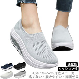  fB[X V[Y C D^ jO  5cm r Xj[J[ i[XV[Y EH[LOV[Y [  Ȃ 傫TCY  ^C _CGbg 30 y 