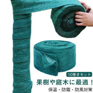 y10Zbgz؊e[v ؕیJo[ Ήe[v z az ۉV[g h h h K[fc[bv |pیz ی ~GΉ ʎ hz Aی