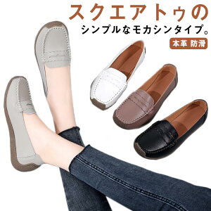 Xj[J[ h  d JV i Vv {v fB[X  L 3E  s 킢 _炩 R[f Xj[J[ V[Y AEghA ł ʋ ʊw dC 