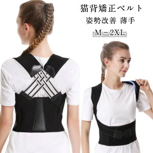 pxg Lw xg  Lwxg j  pT|[^[ w؋xg q Lw   xg Ci[ Y fB[X 傫TCY  ڗȂ 