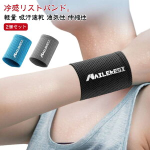 リストバンド 2個入り 汗止め クール 冷感 ひんやり 夏用 薄手 手首 アイスバンド 冷却バンド 軽量 吸汗速乾 熱中症対策 柔らかい 通気性 伸縮性 シンプル 涼感 男女兼用 スポーツ サッカー