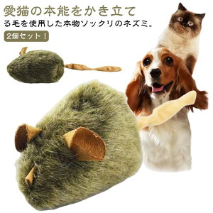 ひとり遊び ねずみ 一人遊び おすすめ 猫のおもちゃ ネズミロボット ねこ 2個セット 猫 ねこじゃらし ネコ おもちゃ 猫じゃらし 運動不足 猫用 飽きない 猫じゃらし 玩具 ペット 音 にゃんこ