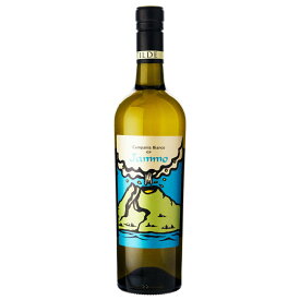 ヴィッラ マティルデ ヤンモ ビアンコ 2020 750ml 白ワイン イタリア (a02-3882)