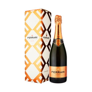 C tFb[ [ Mtg{bNX (Ki) NV 750ml Xp[NO[C C^A (y10-0496)