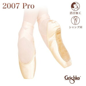 GrishkoiOVRj2007Pro 2007v gDV[Y oGiH / VNM ~fBAj