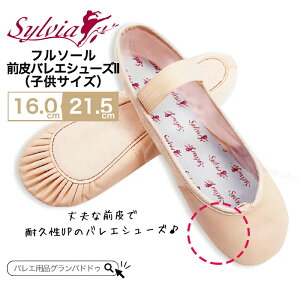 VrAiSylviajt\[ OoGV[YII (qTCY)