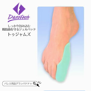 DanzTech�i�_���Y�e�b�N�j�g�D�W�����Y �e�w��ی삷��W�F���p�b�h
