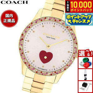 �y���I�ōő�10000pt�o�b�N�I5������I�z�R�[�` COACH �r���v ���f�B�[�X �u���b�N�X BROOKS 38MM �������� 14504487�y2025 �V��z