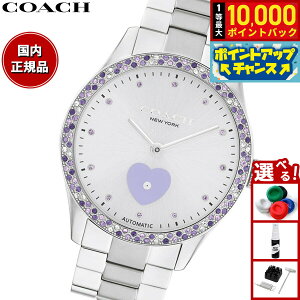 �y���I�ōő�10000pt�o�b�N�I5������I�z�R�[�` COACH �r���v ���f�B�[�X �u���b�N�X BROOKS 38MM �������� 14504522�y2025 �V��z