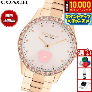 �y���I�ōő�10000pt�o�b�N�I5������I�z�R�[�` COACH �r���v ���f�B�[�X �u���b�N�X BROOKS 38MM �������� 14504523�y2025 �V��z