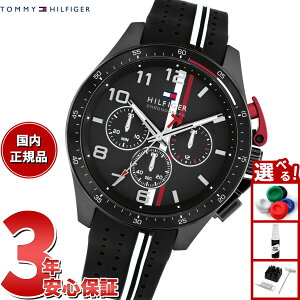 yX|Cgő43{I101Izg~[qtBK[ TOMMY HILFIGER rv Y NmOt BANK 1792168
