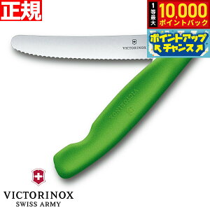 yIōő10000ptobNI}\zrNgmbNX VICTORINOX g}g xW^u tH[fBOiCt ܂ݎ p[OiCt gn O[ 11cm XCXNVbN