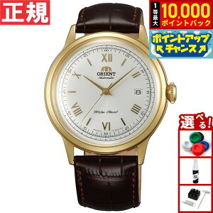 yIōő10000ptobNI}\zIGg ORIENT tAf COf rv Y  or[m Bambino SAC00007W0