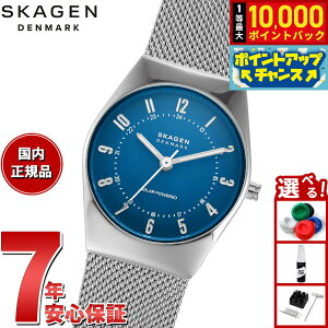 yIōő10000ptobNI}\zXJ[Q SKAGEN rv fB[X GRENEN LILLE \[[p[ XeXX`[ bVEHb` SKW3080